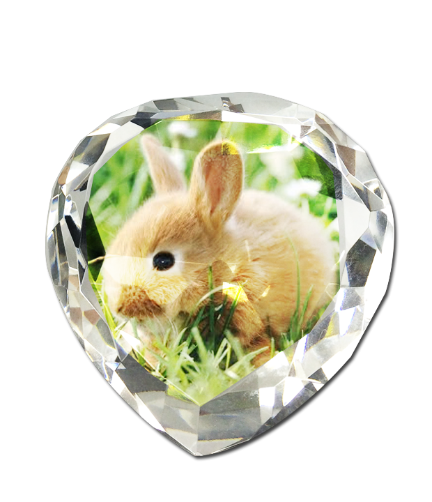 พิมพ์รูป คริสตัล Rabbit Crystal